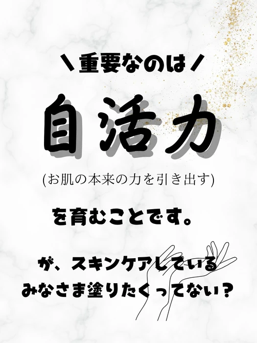 画像384