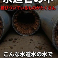 画像545