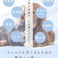 画像596