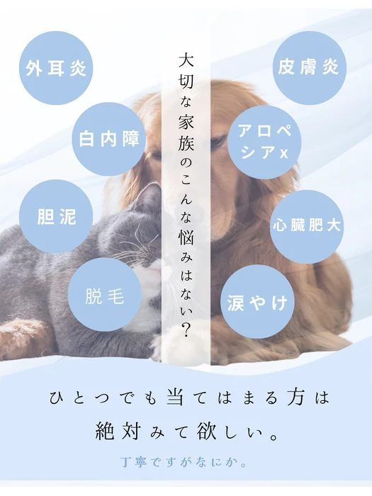 画像596