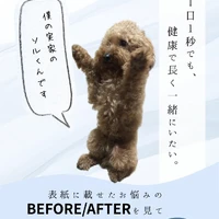 画像597