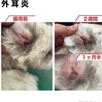 画像598