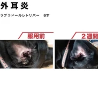 画像601