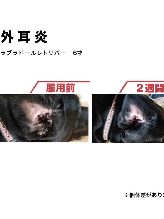 画像601