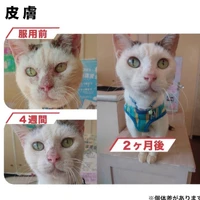 画像604