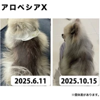 画像605