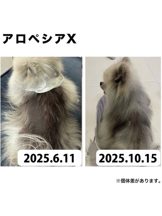 画像605