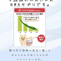 画像606