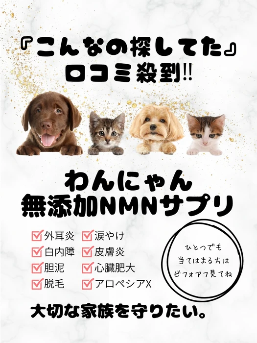 画像629