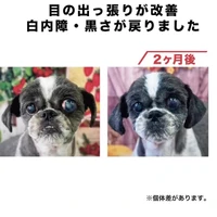 画像631