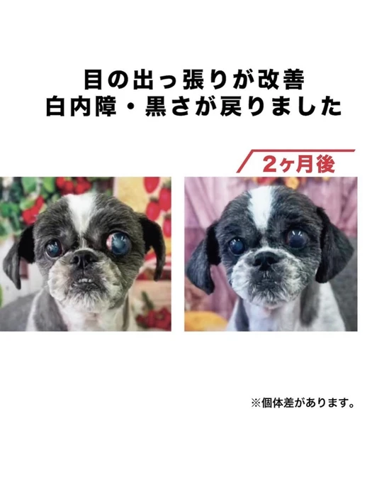 画像631