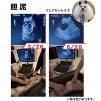 画像632