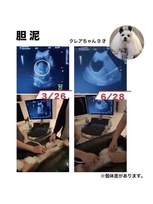 画像632