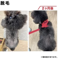 画像634