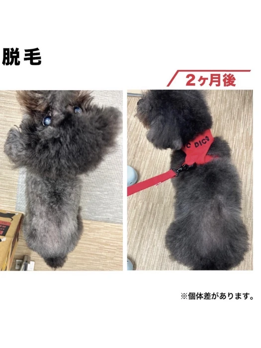 画像634