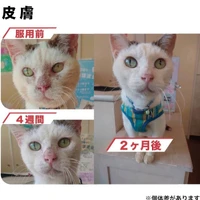 画像636