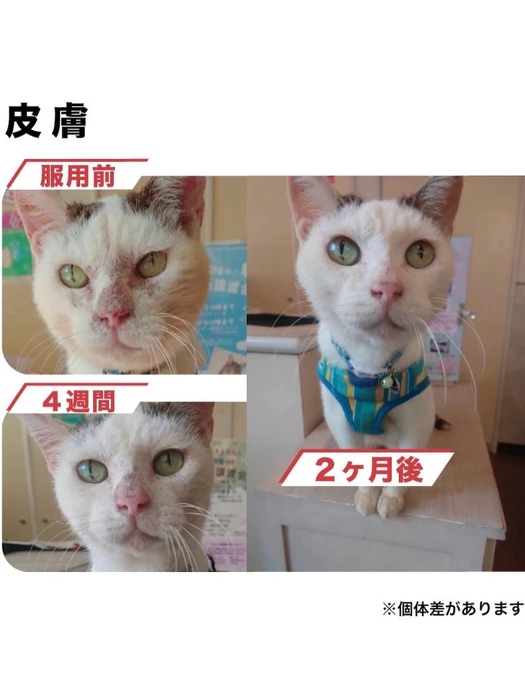 画像636